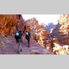 Tracking in Wadi Rum