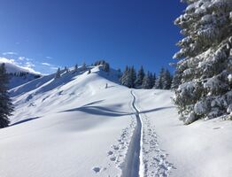 Ski Touring 