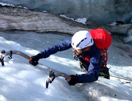 Alpine Semester- Summer Program 