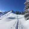 Ski Touring 